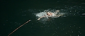 theriverwhy01217.jpg