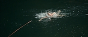 theriverwhy01218.jpg