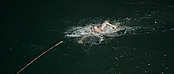 theriverwhy01220.jpg