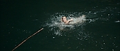 theriverwhy01224.jpg