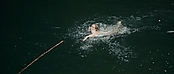 theriverwhy01227.jpg