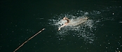 theriverwhy01230.jpg