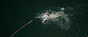 theriverwhy01232.jpg