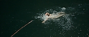 theriverwhy01233.jpg