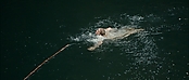 theriverwhy01235.jpg