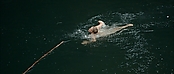 theriverwhy01238.jpg