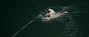 theriverwhy01239.jpg
