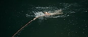 theriverwhy01249.jpg