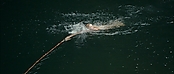 theriverwhy01250.jpg