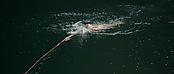 theriverwhy01251.jpg