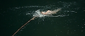 theriverwhy01253.jpg