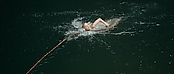 theriverwhy01255.jpg