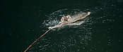 theriverwhy01270.jpg