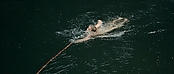 Filename=theriverwhy01273.jpg
Filesize=204KiB
Dimensions=1920x816
Date added=Apr 25, 2021 theriverwhy01273.jpg