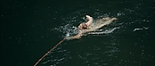 Filename=theriverwhy01275.jpg
Filesize=197KiB
Dimensions=1920x816
Date added=Apr 25, 2021 theriverwhy01275.jpg