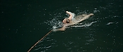 Filename=theriverwhy01276.jpg
Filesize=193KiB
Dimensions=1920x816
Date added=Apr 25, 2021 theriverwhy01276.jpg