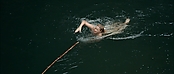 Filename=theriverwhy01281.jpg
Filesize=181KiB
Dimensions=1920x816
Date added=Apr 25, 2021 theriverwhy01281.jpg