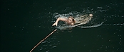 Filename=theriverwhy01282.jpg
Filesize=177KiB
Dimensions=1920x816
Date added=Apr 25, 2021 theriverwhy01282.jpg