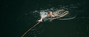 Filename=theriverwhy01284.jpg
Filesize=176KiB
Dimensions=1920x816
Date added=Apr 25, 2021 theriverwhy01284.jpg