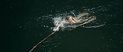 Filename=theriverwhy01285.jpg
Filesize=191KiB
Dimensions=1920x816
Date added=Apr 25, 2021 theriverwhy01285.jpg