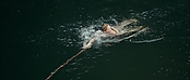 Filename=theriverwhy01286.jpg
Filesize=182KiB
Dimensions=1920x816
Date added=Apr 25, 2021 theriverwhy01286.jpg