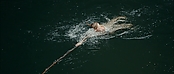 Filename=theriverwhy01288.jpg
Filesize=191KiB
Dimensions=1920x816
Date added=Apr 25, 2021 theriverwhy01288.jpg