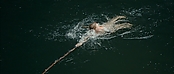 Filename=theriverwhy01289.jpg
Filesize=197KiB
Dimensions=1920x816
Date added=Apr 25, 2021 theriverwhy01289.jpg