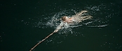 Filename=theriverwhy01290.jpg
Filesize=198KiB
Dimensions=1920x816
Date added=Apr 25, 2021 theriverwhy01290.jpg