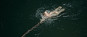 Filename=theriverwhy01294.jpg
Filesize=195KiB
Dimensions=1920x816
Date added=Apr 25, 2021 theriverwhy01294.jpg