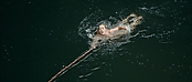 Filename=theriverwhy01296.jpg
Filesize=195KiB
Dimensions=1920x816
Date added=Apr 25, 2021 theriverwhy01296.jpg