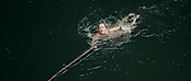 Filename=theriverwhy01297.jpg
Filesize=187KiB
Dimensions=1920x816
Date added=Apr 25, 2021 theriverwhy01297.jpg