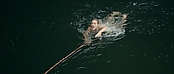 Filename=theriverwhy01301.jpg
Filesize=180KiB
Dimensions=1920x816
Date added=Apr 25, 2021 theriverwhy01301.jpg