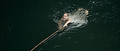 Filename=theriverwhy01302.jpg
Filesize=179KiB
Dimensions=1920x816
Date added=Apr 25, 2021 theriverwhy01302.jpg
