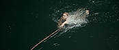 Filename=theriverwhy01303.jpg
Filesize=175KiB
Dimensions=1920x816
Date added=Apr 25, 2021 theriverwhy01303.jpg