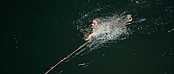 Filename=theriverwhy01304.jpg
Filesize=162KiB
Dimensions=1920x816
Date added=Apr 25, 2021 theriverwhy01304.jpg