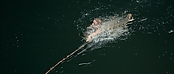 Filename=theriverwhy01305.jpg
Filesize=180KiB
Dimensions=1920x816
Date added=Apr 25, 2021 theriverwhy01305.jpg