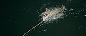 Filename=theriverwhy01306.jpg
Filesize=177KiB
Dimensions=1920x816
Date added=Apr 25, 2021 theriverwhy01306.jpg