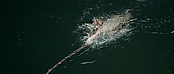 Filename=theriverwhy01307.jpg
Filesize=172KiB
Dimensions=1920x816
Date added=Apr 25, 2021 theriverwhy01307.jpg