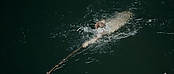 Filename=theriverwhy01311.jpg
Filesize=194KiB
Dimensions=1920x816
Date added=Apr 25, 2021 theriverwhy01311.jpg