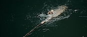 Filename=theriverwhy01312.jpg
Filesize=195KiB
Dimensions=1920x816
Date added=Apr 25, 2021 theriverwhy01312.jpg