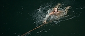 Filename=theriverwhy01333.jpg
Filesize=224KiB
Dimensions=1920x816
Date added=Apr 25, 2021 theriverwhy01333.jpg