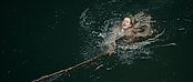 Filename=theriverwhy01339.jpg
Filesize=225KiB
Dimensions=1920x816
Date added=Apr 25, 2021 theriverwhy01339.jpg