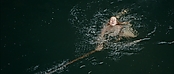 Filename=theriverwhy01343.jpg
Filesize=236KiB
Dimensions=1920x816
Date added=Apr 25, 2021 theriverwhy01343.jpg