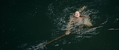 Filename=theriverwhy01344.jpg
Filesize=241KiB
Dimensions=1920x816
Date added=Apr 25, 2021 theriverwhy01344.jpg