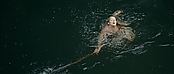 Filename=theriverwhy01347.jpg
Filesize=221KiB
Dimensions=1920x816
Date added=Apr 25, 2021 theriverwhy01347.jpg