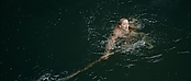 Filename=theriverwhy01350.jpg
Filesize=213KiB
Dimensions=1920x816
Date added=Apr 25, 2021 theriverwhy01350.jpg
