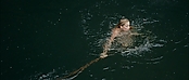 theriverwhy01353.jpg
