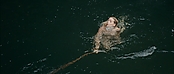 theriverwhy01362.jpg