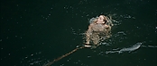 theriverwhy01363.jpg
