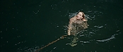 theriverwhy01366.jpg